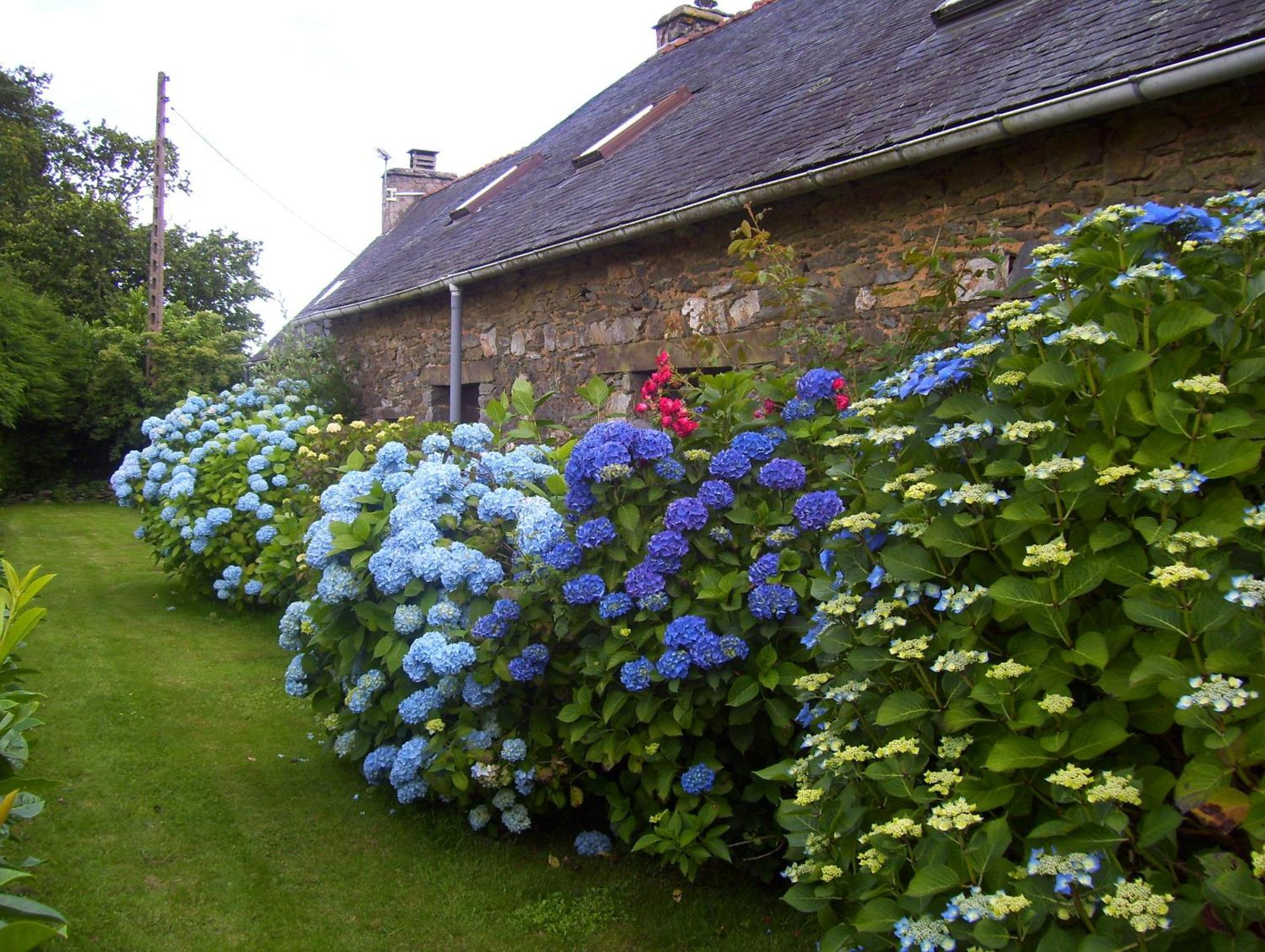 Le Boterff Gites Et Camping Saint-Mayeux Bagian luar foto